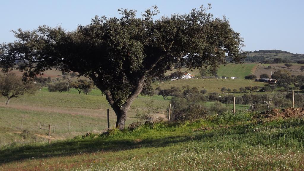 Casa Da Comadre - Casas De Taipa Βίλα São Pedro do Corval Δωμάτιο φωτογραφία